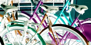 Imagen de la noticia Bicicletas a la calle