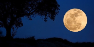 Imagen de la noticia Viernes de Luna Llena o Luna Azul
