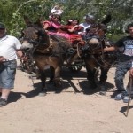 Imagen de la noticia II Romería de la Virgen del Carmen por los Negrales