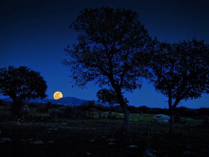 Imagen de la noticia Historias mágicas en la Dehesa