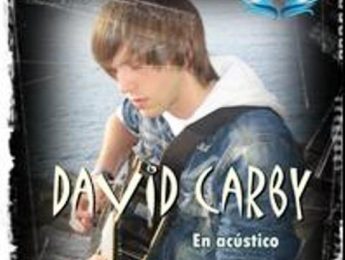 Imagen de la noticia David Carby en concierto