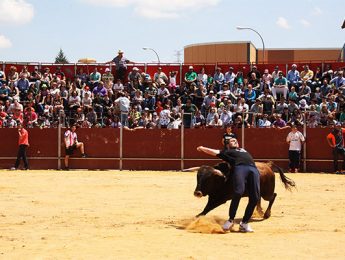 Imagen de la noticia Concurso de Recortes