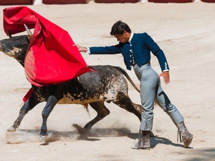 torero y toro