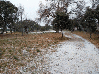 Imagen de la noticia Fuertes vientos y descenso de las temperaturas