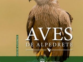 Imagen de la noticia Aves de Alpedrete. Visita guiada