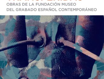 Imagen de la noticia Exposición “Imágenes transferidas”. Obras de la Fundación Museo del Grabado Español Contemporáneo